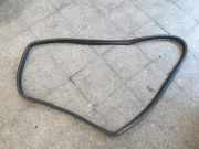 Türdichtung Peugeot 406 ()
