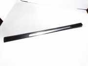 Schwellerverkleidung