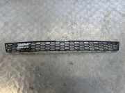 Vorderer oberer Gitter BMW X5 (E70) M 7205559