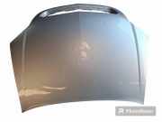 Motorhaube OPEL SIGNUM 1.9 CDTI 09178922