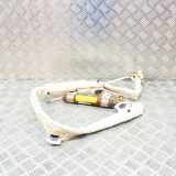 SRS Modul Dach links FIAT BRAVO II (198_) 1.9 D Multijet 517511450