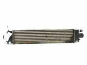 Ladeluftkühler FIAT DOBLO MPV (263_) 1.6 D Multijet 896255500