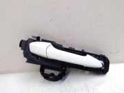 Türaußengriff hinten rechts