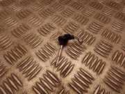 Temperatursensor BMW X1 (E84) xDrive 25 i 6915391