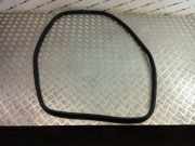 Türdichtung BMW X3 (G01, F97) 7393449