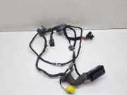 Kabel Tür Audi A4 Avant (8K, B8) 8K0971029