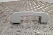 Griff Panoramadach Fiat Talento Bus (296)