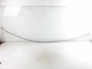 Dachleiste links AUDI A8 D3 (4E2, 4E8) 4.2 quattro