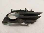 Gitter vorne unten OPEL SIGNUM 1.9 CDTI 239263762 13100593