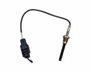 Abgastemperaturfühler Volvo XC60 I (156) 31293031