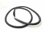 Türdichtung Renault Espace V (JR)