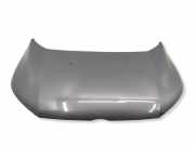 Motorhaube FORD ECOSPORT 1.0 EcoBoost CN1516K689AA