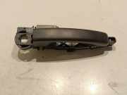 Türgriff links Renault Master III Kasten (FV) PR0007712G