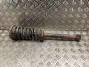 Stoßdämpfer hinten links JAGUAR S-TYPE (X200) 3.0 V6