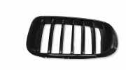 Gitter Grill vorne links BMW X3 (F25) xDrive 20 d