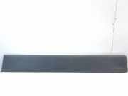 Türverkleidung links Fiat Ducato Kasten (250) 1306606070