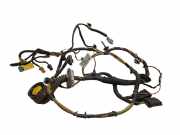 Kabel der vorderen linken Tür PEUGEOT 508 SW 2.0 HDi 9675215480