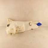 Fensterwaschtank FORD KUGA III (DFK) 1.5 EcoBlue LV4B13K175