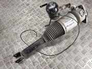 Stoßdämpfer rechts hinten Audi A8 (4E) 168ATE046EE107S