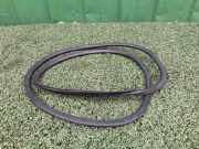 Türdichtungsgummi vorne links OPEL MOVANO B Furgon 2.3 CDTI FWD 93168082