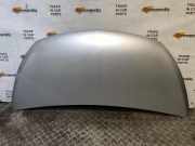 Motorhaube OPEL VIVARO Furgon 1.6 CDTI