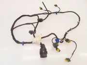 Türverkabelung hinten rechts MASERATI QUATTROPORTE V 4.2 200536 10873892