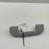 Dachgriff hinten links