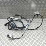 Anzeige Blauer Schlauch BMW X5 (G05) xDrive 30 d Mild-Hybrid 5A17887