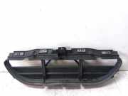 Kühlerluftumlenker BMW 3 Coupe (E92) 320 i 51747186776