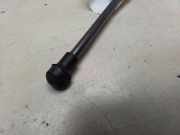 Gasfeder für Motorhaube BMW X1 (E84)