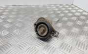 Riemenspanner NISSAN X-TRAIL (T31) 2.0 dCi 117507568R
