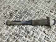 Stoßdämpfer hinten links TOYOTA C-HR (_X1_) 1.8 Hybrid (ZYX10_)