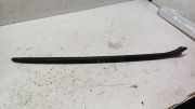Zierleiste Windschutzscheibe Frontscheibe BMW 3 Touring (F31) 330 d xDrive 7258188