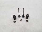 Auslassventil BMW 5er (F10)