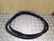 Türdichtung Audi A6 Allroad (4G)