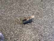 Sensor für Längsbeschleunigung Peugeot 307 CC () 9649186580