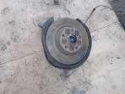 Radlagergehäuse rechts hinten VW Passat B7 (362)