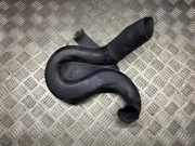 Luftansaugrohr NISSAN X-TRAIL (T30) 2.2 dCi 4x4 161207