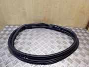 Dichtungsgummi der hinteren Tür (an der Karosserie) VW GOLF VI Cabrio (517) 1.6 TDI 5K6867913