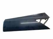 Kotflügelzierleiste hinten links FORD GRAND C-MAX (DXA/CB7, DXA/CEU) 2.0 TDCi AM51U29613Aw