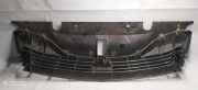 Gitter Grill vorne links RENAULT LAGUNA II (BG0/1_) 1.9 dCi (BG08, BG0G) 8200012581