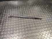 Gasfeder für Motorhaube Nissan Murano II (Z51) 654701AA0A