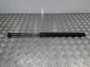 Heckklappe Gasdruckfeder rechts VW CADDY III Variant (2KB, 2KJ, 2CB, 2CJ) 2.0 SDI 2K0827550