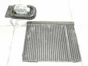 Klimaverdampfer BMW X6 (E71, E72) TD303