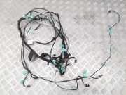 Kabelbaum RENAULT KOLEOS II 2.0 dCi 175 4WD 4M5425RCB F1716576