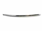 Gitter FORD MONDEO IV (BA7) 2.0 LPG 575040080