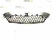 Gitter vorne unten MERCEDES-BENZ C (W204) C 300 CDI 4-matic (204.092) A2048851324