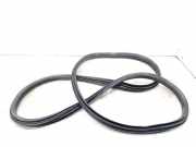 Dichtungsgummi der hinteren Tür (an der Karosserie) FIAT TIPO Hatchback (357_) 1.6 D