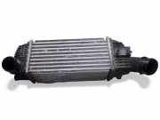Ladeluftkühler CITROËN C5 III (RD_) 2.0 HDi 180 9683009680