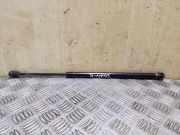 Heckklappe Gasdruckfeder rechts OPEL FRONTERA B (6B_) 2.2 DTI (6B_ZC, 6B_VF, 6B_66, 6B_76) 8971717280